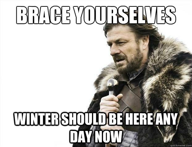 Brace yourselves Winter should be here any day now  Brace Yourselves - Borimir