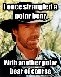 I once strangled a polar bear With another polar bear of course  Chuck Norris