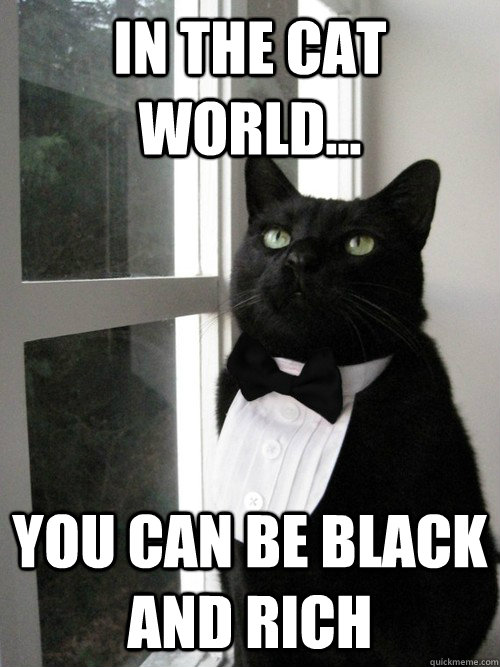 In the cat world... you can be black and rich  One Percent Cat