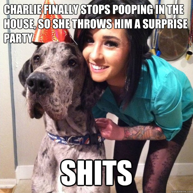 Charlie finally stops pooping in the house, so she throws him a surprise party shits  