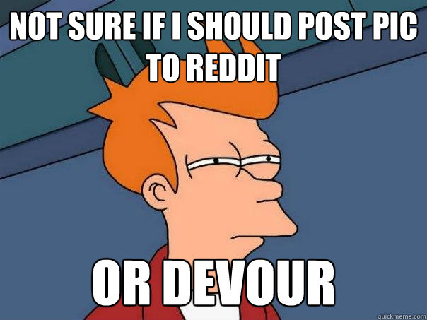 Not Sure if I Should Post Pic to Reddit Or Devour  Futurama Fry
