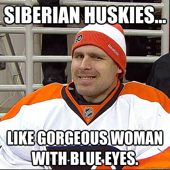 Siberian Huskies... Like gorgeous woman with blue eyes.  Ilya Bryzgalov Solid Guy