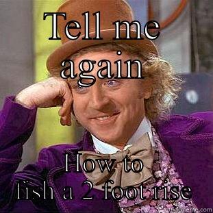 TELL ME AGAIN HOW TO FISH A 2 FOOT RISE Condescending Wonka