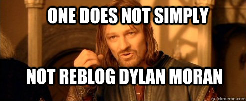 One does not simply not reblog Dylan Moran  One Does Not Simply