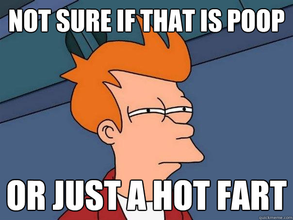Not sure if that is poop or just a hot fart  Futurama Fry