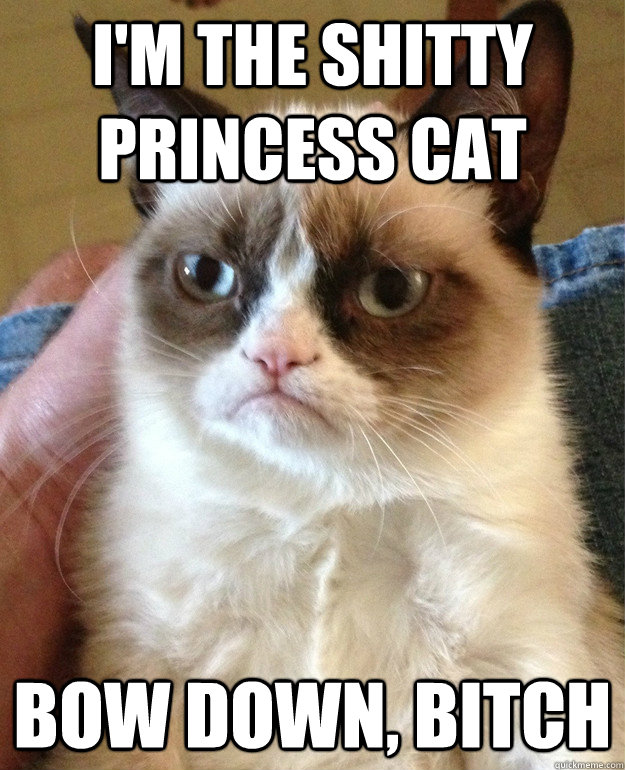 I'm the Shitty Princess Cat Bow Down, Bitch - I'm the Shitty Princess Cat Bow Down, Bitch  Misc
