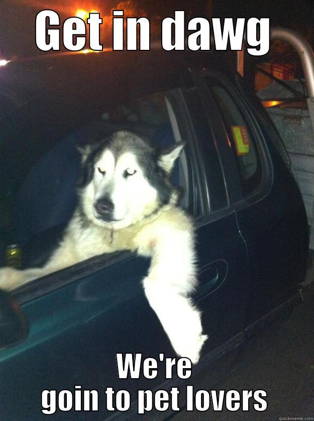 GET IN DAWG WE'RE GOIN TO PET LOVERS Mean Dog
