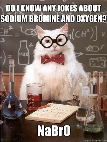 DO I KNOW ANY JOKES ABOUT SODIUM BROMINE AND OXYGEN? NaBrO  Chemistry Cat