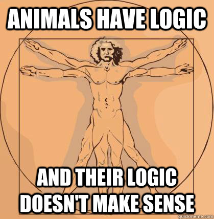 Animals have logic and their logic doesn't make sense - Animals have logic and their logic doesn't make sense  Misc