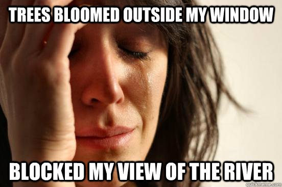 trees bloomed outside my window blocked my view of the river  First World Problems