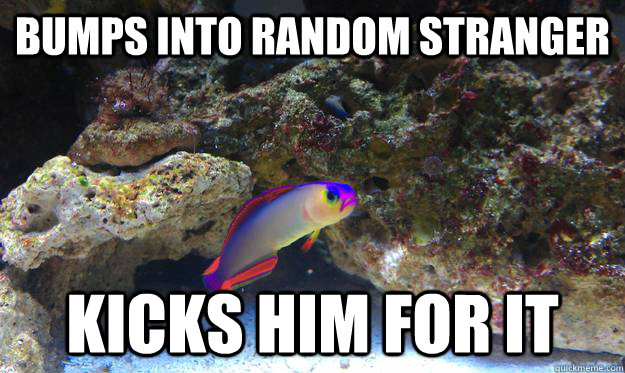 bumps into random stranger kicks him for it  Angry Fish