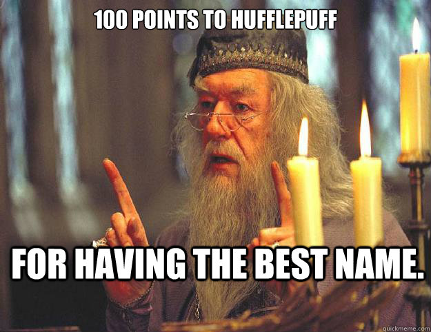 100 points to hufflepuff for having the best name.   Dumbledore