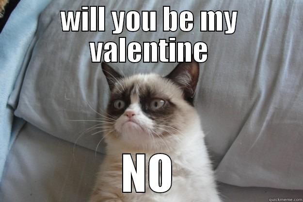 WILL YOU BE MY VALENTINE NO Grumpy Cat