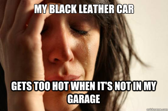 my black leather car gets too hot when it's not in my garage  First World Problems