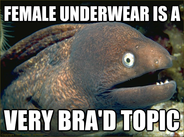 Female underwear is a very bra'd topic  Bad Joke Eel