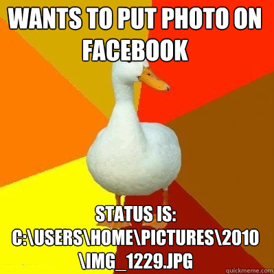 wants to put photo on facebook  status is: C:\Users\Home\Pictures\2010\IMG_1229.JPG  Tech Impaired Duck