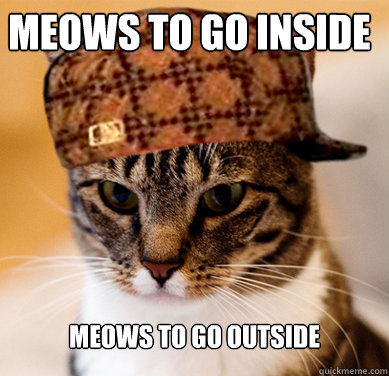 Meows to go inside Meows to go outside  Scumbag Cat