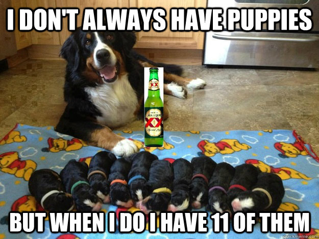 I don't always have puppies But when I do I have 11 of them - I don't always have puppies But when I do I have 11 of them  Misc