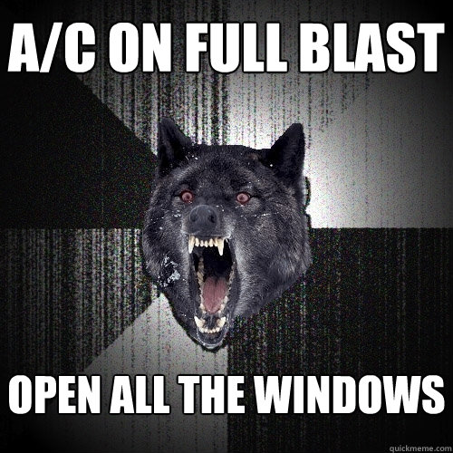 A/C on full blast Open all the windows  Insanity Wolf