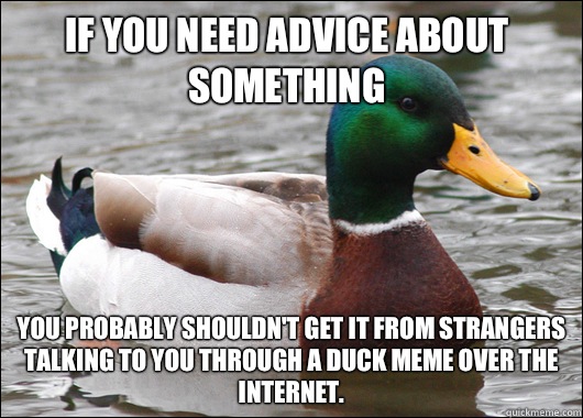 If you need advice about something You probably shouldn't get it from strangers talking to you through a duck meme over the Internet.  Actual Advice Mallard