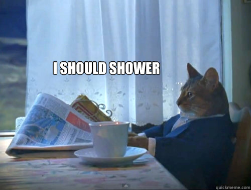 i should shower   The One Percent Cat