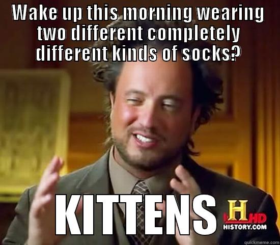 WAKE UP THIS MORNING WEARING TWO DIFFERENT COMPLETELY DIFFERENT KINDS OF SOCKS? KITTENS Ancient Aliens