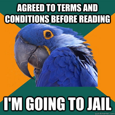 Agreed to terms and conditions before reading I'm going to jail - Agreed to terms and conditions before reading I'm going to jail  Paranoid Parrot