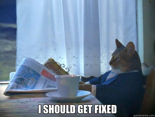  I should get fixed  The One Percent Cat