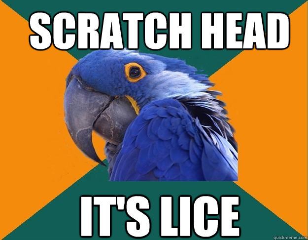 Scratch head It's lice   Paranoid Parrot