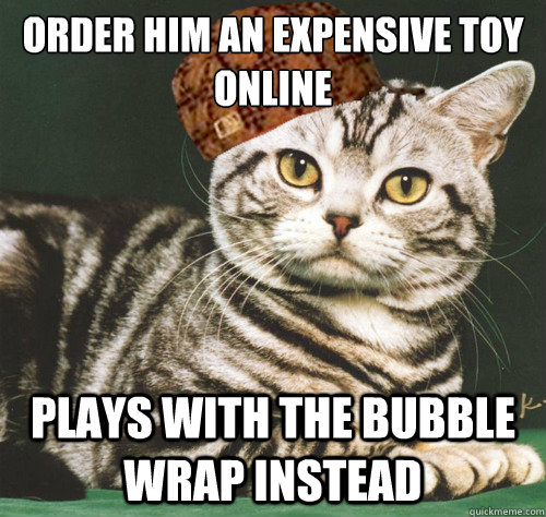 order him an expensive toy online plays with the bubble wrap instead  