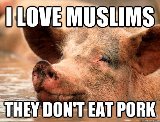 I love muslims they don't eat pork  Stoner Pig