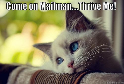 Waiting Patiently - COME ON MAILMAN....THRIVE ME!  First World Problems Cat