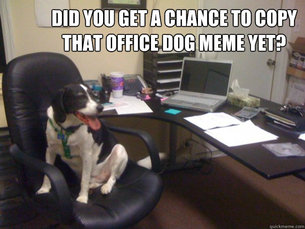did you get a chance to copy that office dog meme yet? - did you get a chance to copy that office dog meme yet?  Delegating Dog