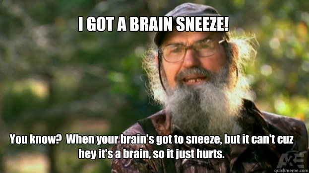 I GOT A BRAIN SNEEZE! You know?  When your brain's got to sneeze, but it can't cuz hey it's a brain, so it just hurts.  