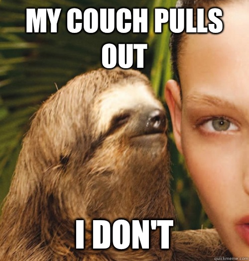 My couch pulls out I don't   Whispering Sloth