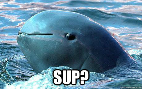  SUP?  Irrawaddy Dolphin