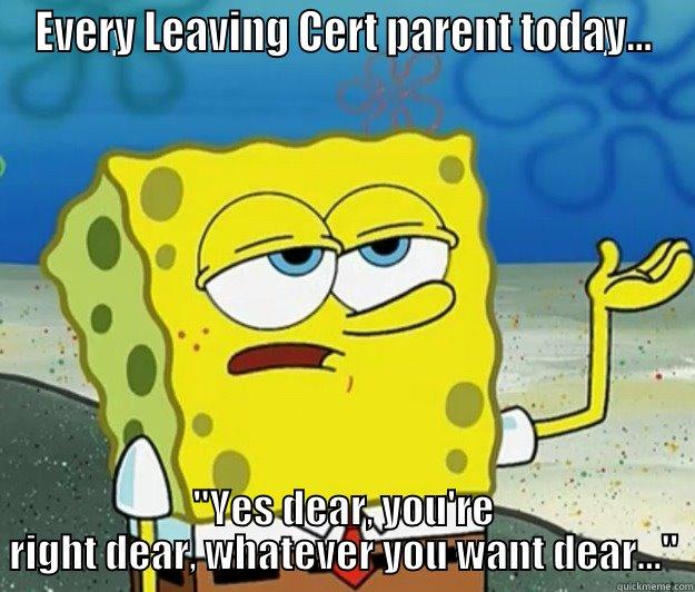 Leaving Cert - EVERY LEAVING CERT PARENT TODAY... 