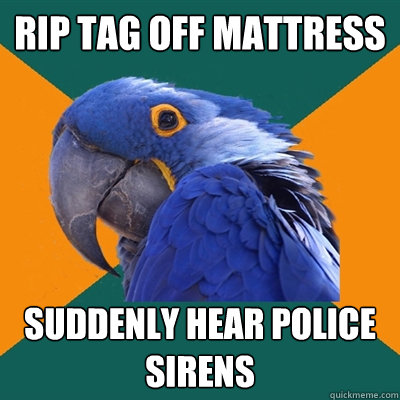Rip tag off mattress suddenly hear police sirens  Paranoid Parrot