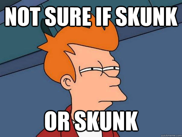 not sure if skunk or skunk - not sure if skunk or skunk  Futurama Fry