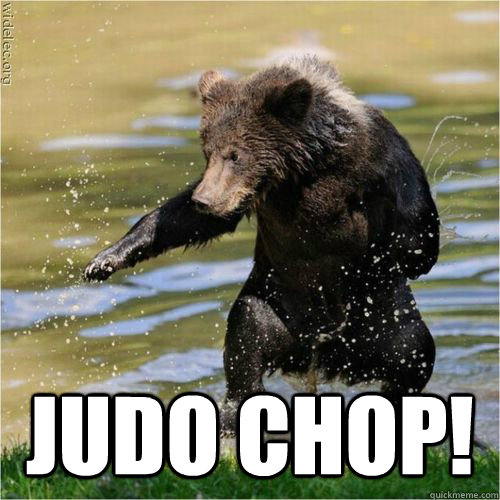 Judo Chop!  