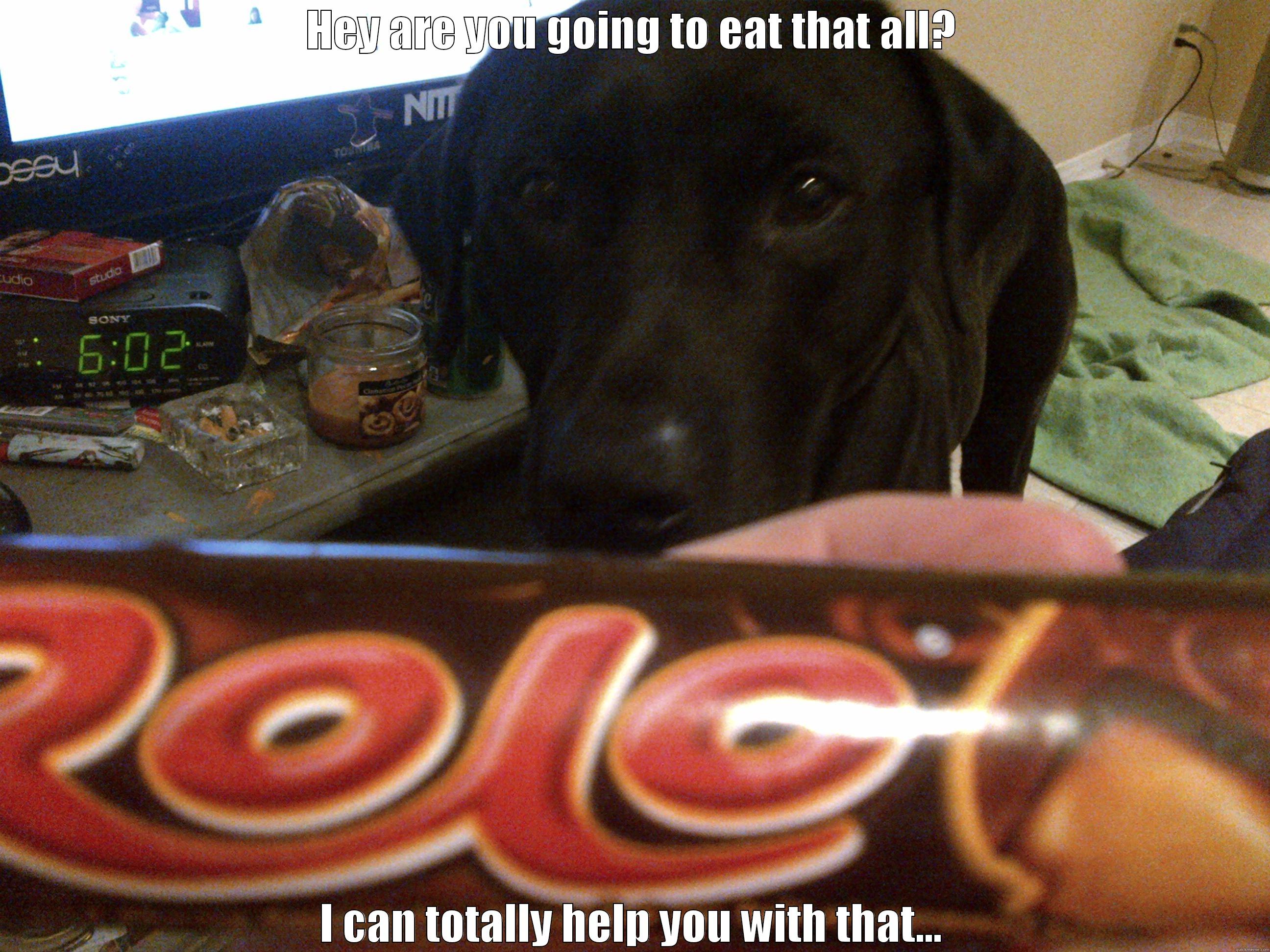 HEY ARE YOU GOING TO EAT THAT ALL? I CAN TOTALLY HELP YOU WITH THAT... Misc