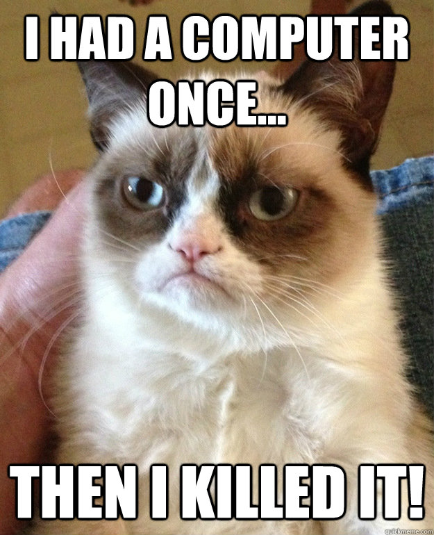 I had a Computer Once... Then I Killed It!  grumpycat
