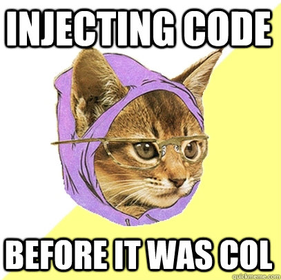 Injecting code Before it was col  Hipster Kitty