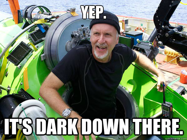 Yep. It's dark down there. - Yep. It's dark down there.  Misc