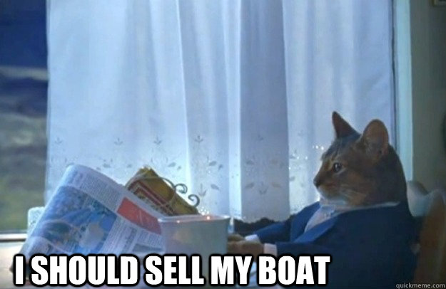 i should sell my boat  Sophisticated Cat