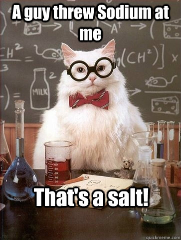 A guy threw Sodium at me That's a salt! - A guy threw Sodium at me That's a salt!  Chemistry Cat