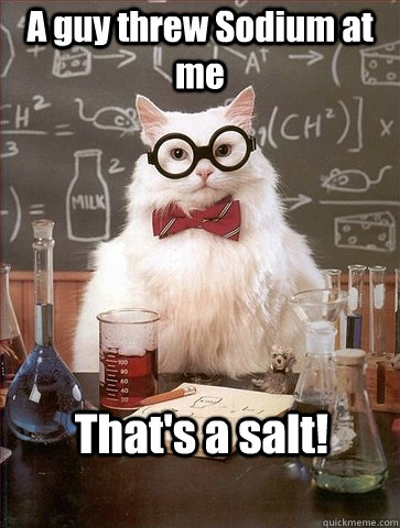 A guy threw Sodium at me That's a salt!  Chemistry Cat