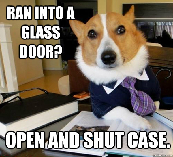 ran into a glass door? Open and shut case.   Lawyer Dog