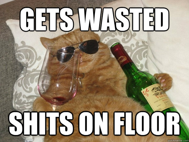 Gets wasted shits on floor - Gets wasted shits on floor  Party Cat