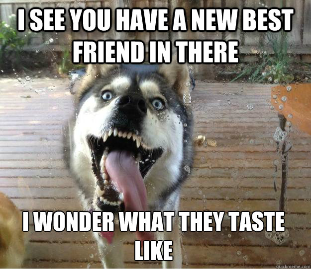 I see you have a new best friend in there I wonder what they taste like  Overly Attached Dog